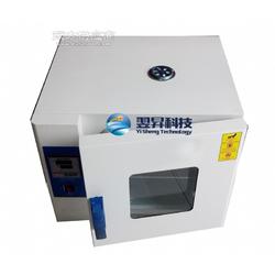 精密溫控箱高溫烤箱恒溫加熱箱高溫老化箱批發